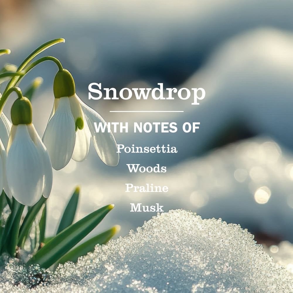 Snowdrop Plug In Scented Oil Warmer With Refill - Image 5